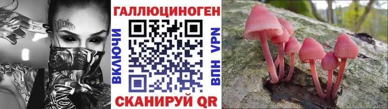 Галлюциногенные грибы Cubensis  Чаплыгин 